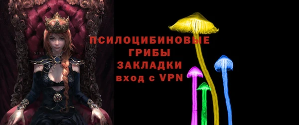 кокс Арсеньев
