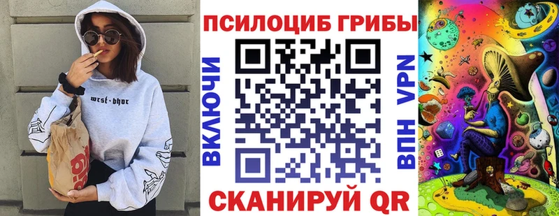 KRAKEN зеркало  Боровск  Псилоцибиновые грибы прущие грибы 